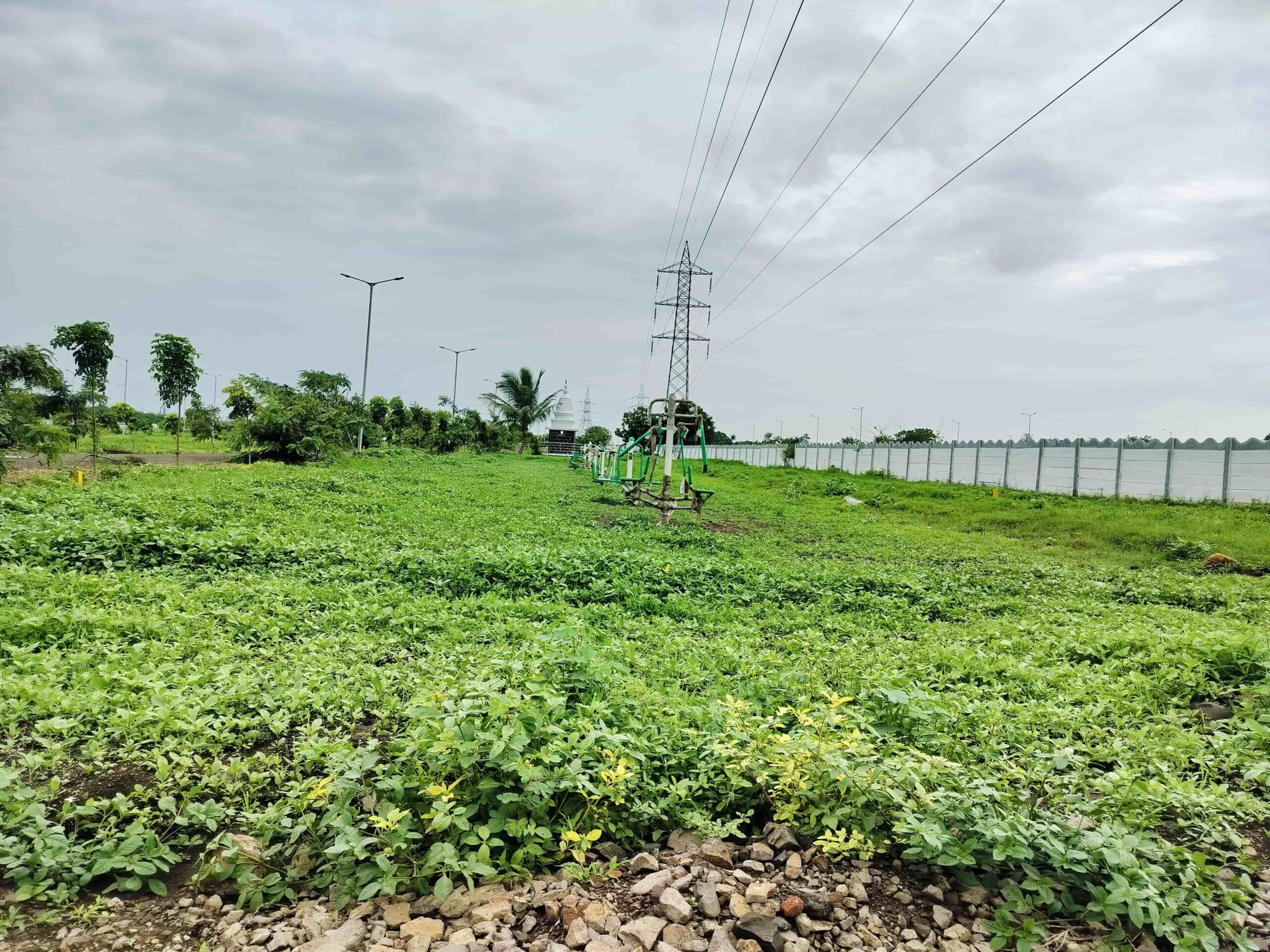 A field of plants with power lines in the background at Venkateshwara City in Vasant Vihar, Solapur. This image is from the website of solapur property, a real estate company in Solapur