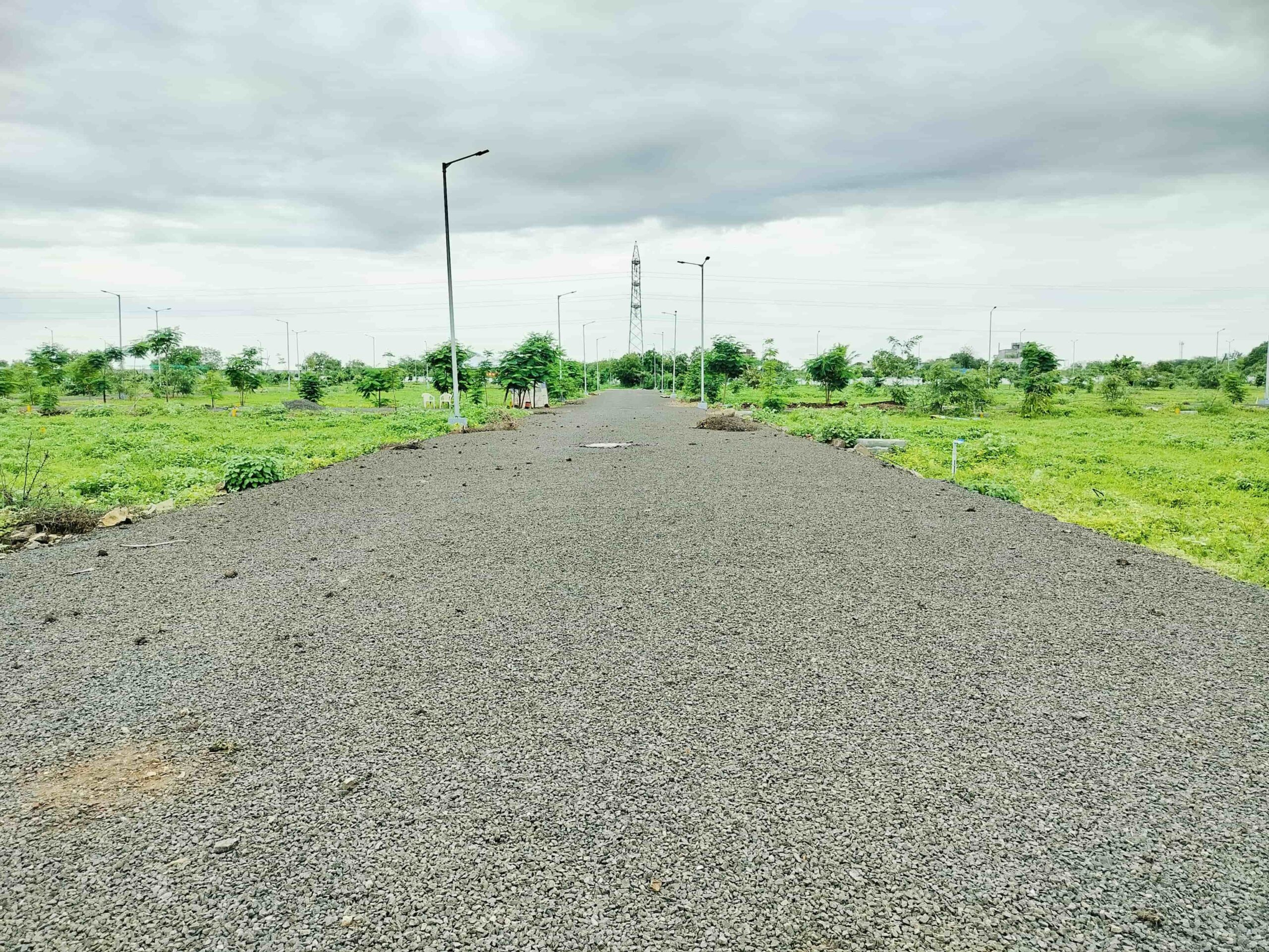 A row of open plots with neem trees at Venkateshwara City in Solapur.